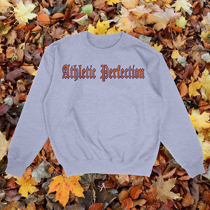Athletic Perfection Sweater
